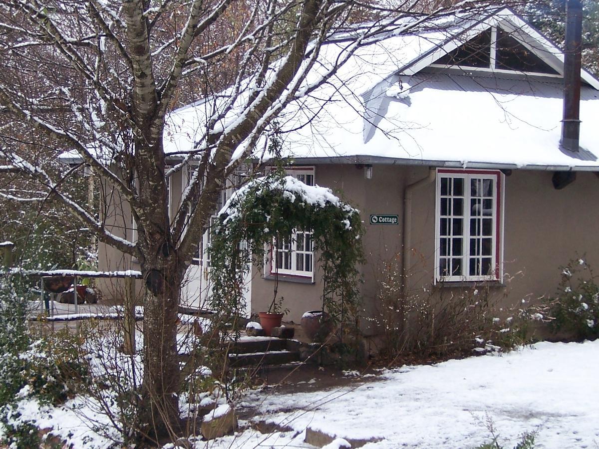 Maple Grove Villa Hogsback Exterior photo